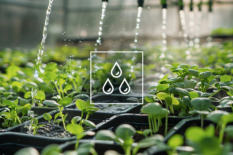 Humidity Transmitters and Hygrostats​