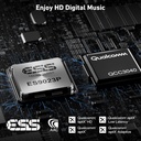 Arylic BP50 Bluetooth Preamplifier With ESS ES9023P DAC