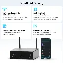 Arylic S50 Pro+ Wireless Stereo Preamp With aptX HD & ESS 9023 DAC