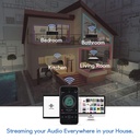 Arylic A30+ WiFi & Bluetooth 5.0 Mini Stereo Amplifier