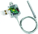 RPFF-RPFTF-offen-Display-auf__tyr1-M_maxi_4c_5fe7b032-7794-4fab-9e6d-efb5f1654515.webp