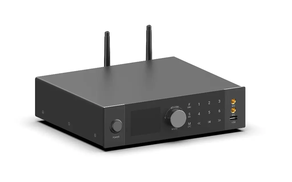 Arylic A100 -100W x2ch (200W) Powerful Hi-Fi Full Digital Professional Audio Sound System Amplifier with FM